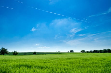 behavioral health initiative