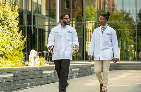 title ix accordion update