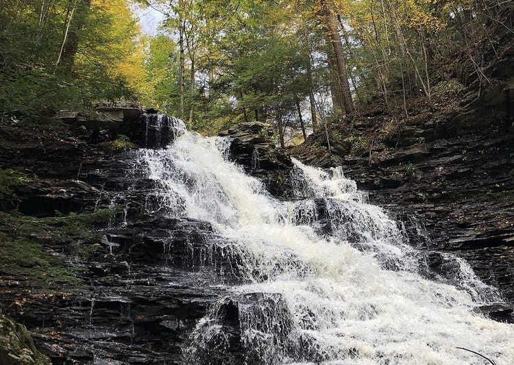Falls Trail at Ricketts Glen State Park, a great spot for a day hike or camping