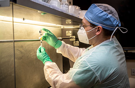 Program requirements