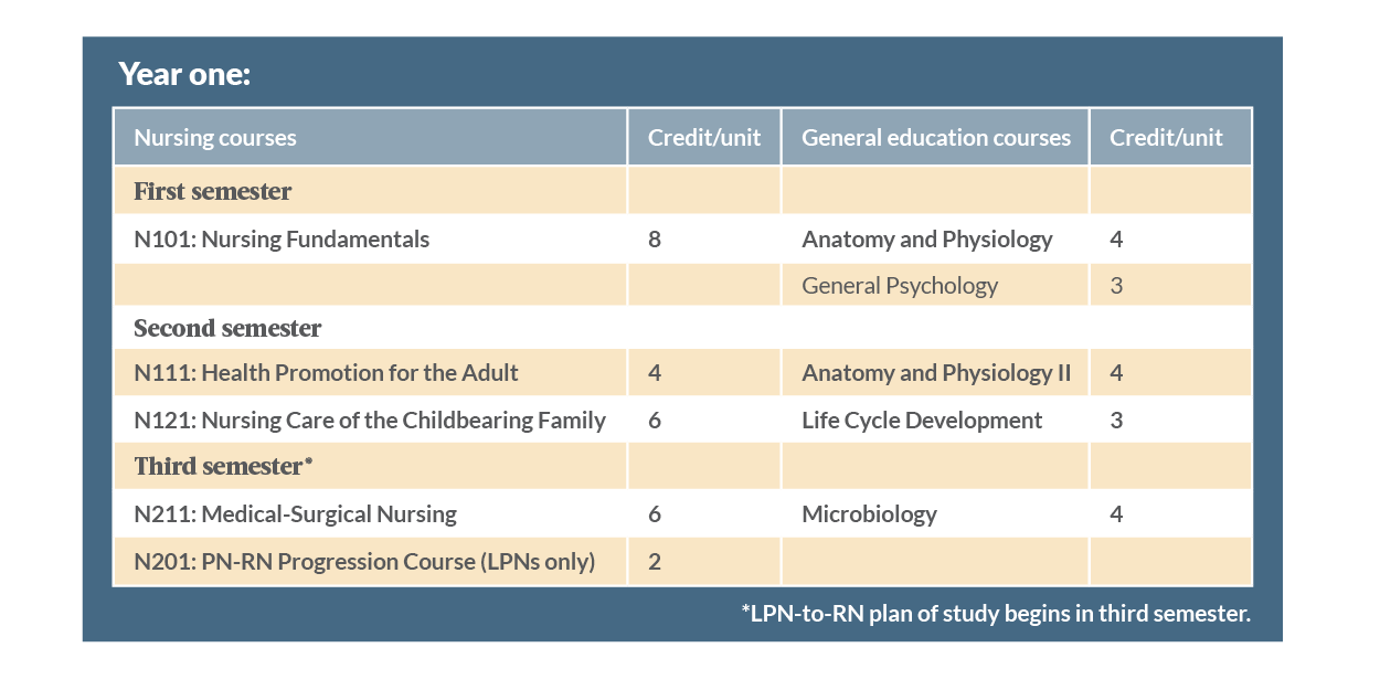 Plan of study year one