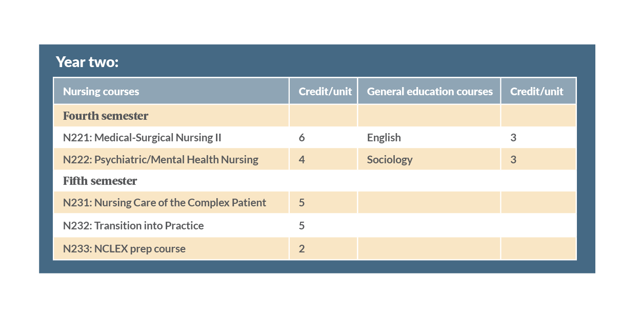 Plan of study year two