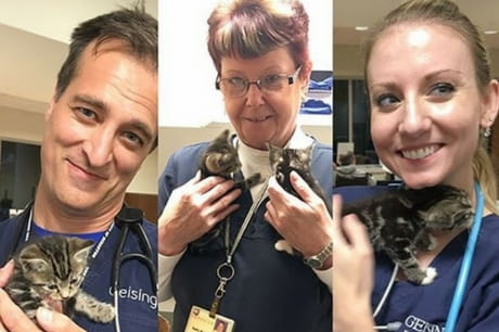 Members of the Geisinger family cuddle with cats