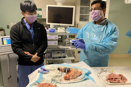 gastroenterology lab