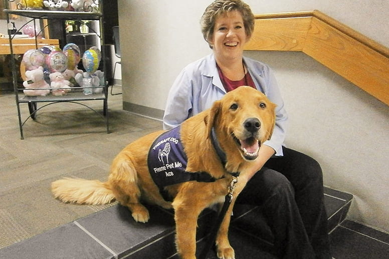 Ace - the therapy dog