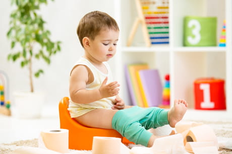 wellness poop potty training