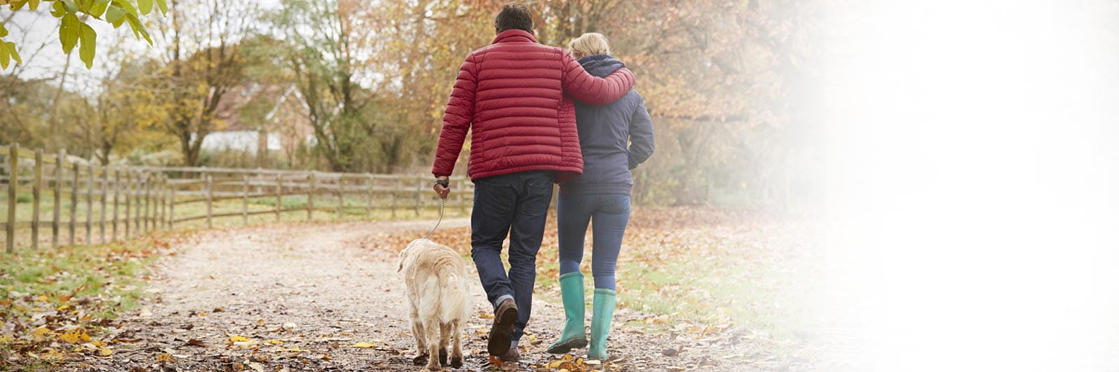 Get treatment for coronary artery disease