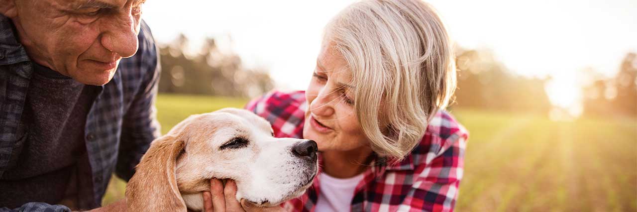 two seniors playing with their dogs outside
