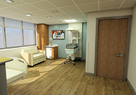 labor and delivery rendering