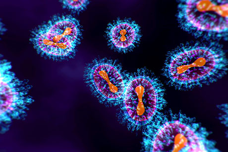 A colorful contagious virus viewed through a microscope.